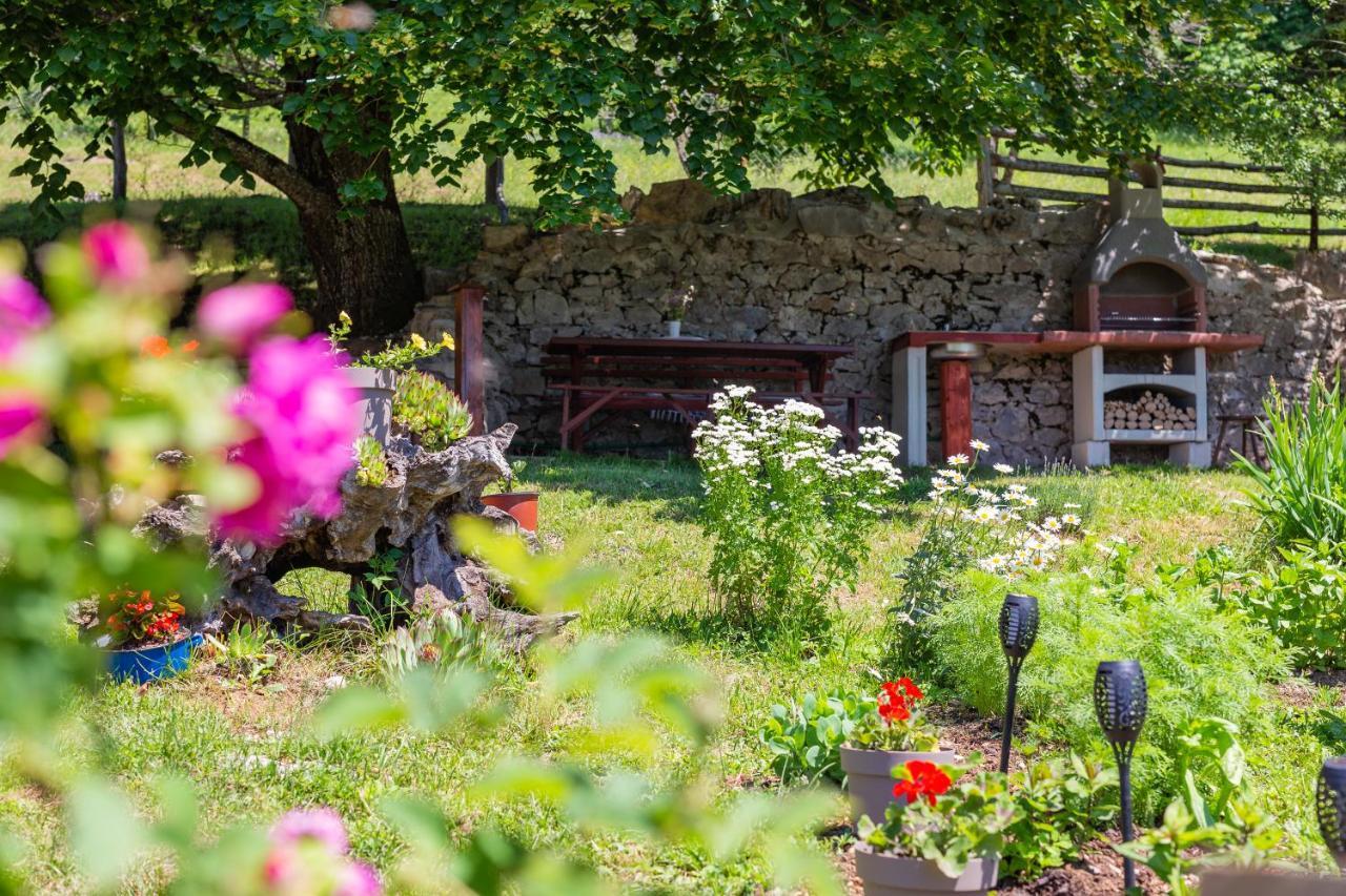 Villa Lipa *