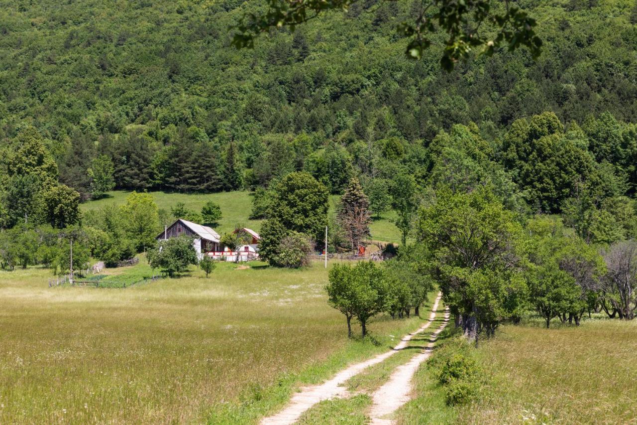 Villa Lipa *